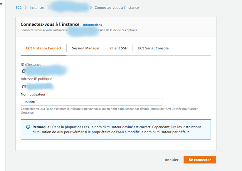 Opciones de conexión de la instancia AWS EC2